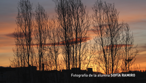 1-CURSO-FOTOGRAFIA-INICIACION