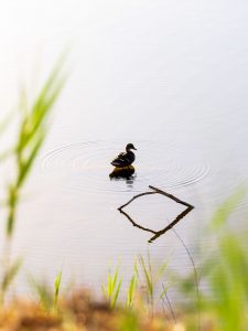 Francisco Torres, alumno del taller de Fotografía de Fauna