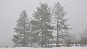 CURSO-FOTOGRAFIA-AVANZADO