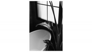 Slide_arquitectura