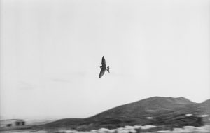 Exposición Almería, Bernard Plossu