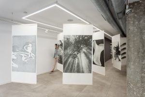 Expo_Paseando_entre_sombras_Carlos_Canal_slide_1