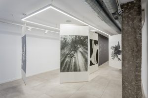 Expo_Paseando_entre_sombras_Carlos_Canal_slide_11