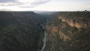 Msights_Gorafe