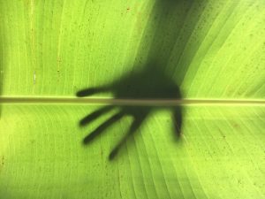 Curso Iniciación a la fotografía con smartphone