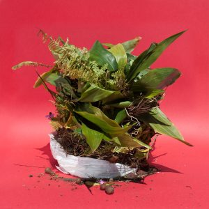 Curso Después del Paisaje