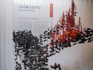Exposición Lo incierto de Lola Guerrera
