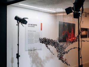 Exposición Lo incierto de Lola Guerrera