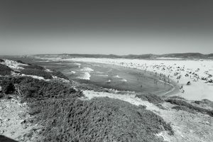 Curso Edición de imágenes en blanco y negro