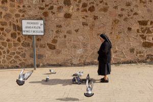 Taller Street Photography