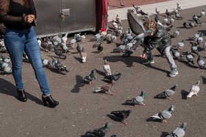 Taller Street Photography
