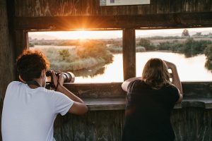 Taller_Foto_Fauna_05