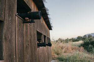 Taller_Foto_Fauna_07