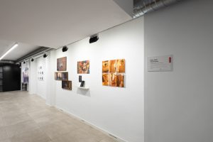2021_Exposicion_RealidadImaginada_14