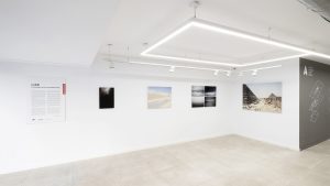 Fotografías de la exposición LIKE en La Sala Desenfocada