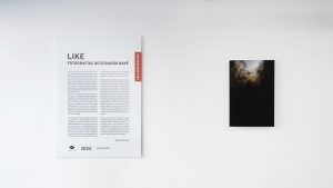 Fotografías de la exposición LIKE en La Sala Desenfocada