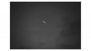 Ana Maisonave_5