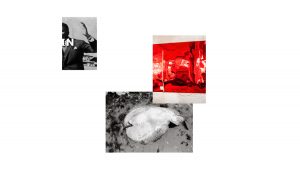 ContraNatura_Exposicion-1