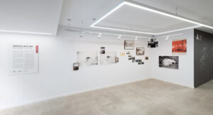 APERTURA_contranatura_exposicion