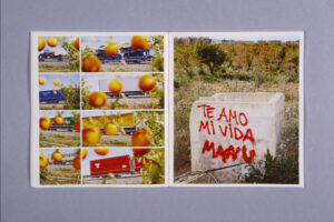 11TOT_Ricardo_Cases_2022