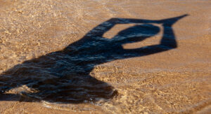 curso_fototerapia_laplaya4